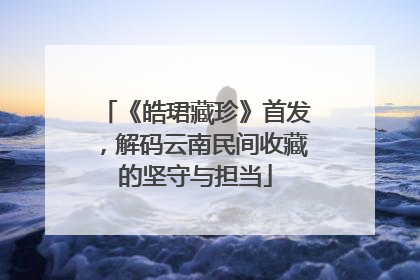 《皓珺藏珍》首发，解码云南民间收藏的坚守与担当