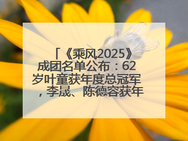 《乘风2025》成团名单公布：62岁叶童获年度总冠军，李晟、陈德容获年度高光人物