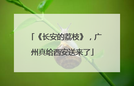 《长安的荔枝》，广州真给西安送来了