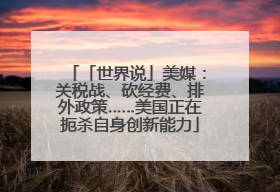 「世界说」美媒：关税战、砍经费、排外政策……美国正在扼杀自身创新能力