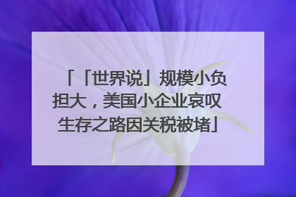 「世界说」规模小负担大，美国小企业哀叹生存之路因关税被堵