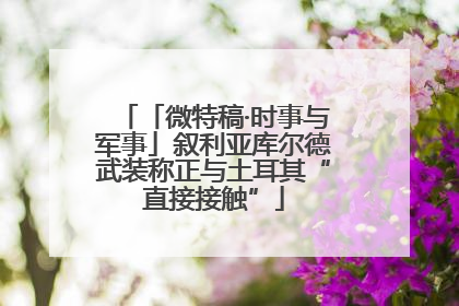 「微特稿·时事与军事」叙利亚库尔德武装称正与土耳其“直接接触”