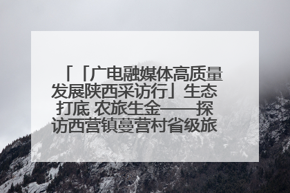「广电融媒体高质量发展陕西采访行」生态打底 农旅生金——探访西营镇蔓营村省级旅游示范村的振兴密码