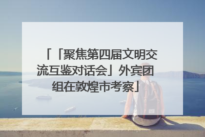 「聚焦第四届文明交流互鉴对话会」外宾团组在敦煌市考察