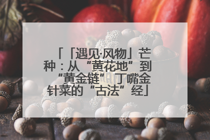 「遇见·风物」芒种：从“黄花地”到“黄金链” 丁嘴金针菜的“古法”经