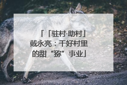 「驻村·助村」戴永亮：干好村里的甜“猕”事业