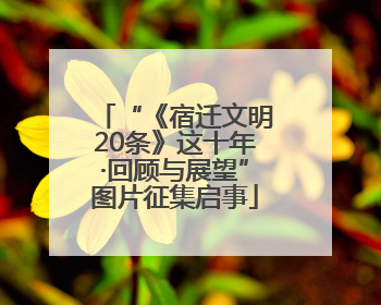 “《宿迁文明20条》这十年·回顾与展望”图片征集启事
