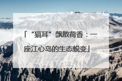 “猫耳”飘散荷香：一座江心岛的生态蜕变