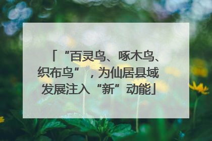 “百灵鸟、啄木鸟、织布鸟”，为仙居县域发展注入“新”动能