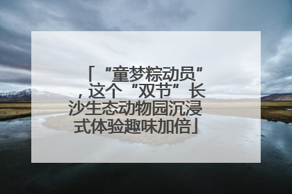 “童梦粽动员”，这个“双节”长沙生态动物园沉浸式体验趣味加倍