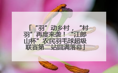 “羽”动乡村，“村羽”再度来袭！“江郎山杯”农民羽毛球超级联赛第二站圆满落幕