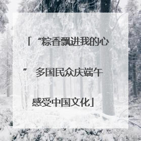 “粽香飘进我的心” 多国民众庆端午感受中国文化