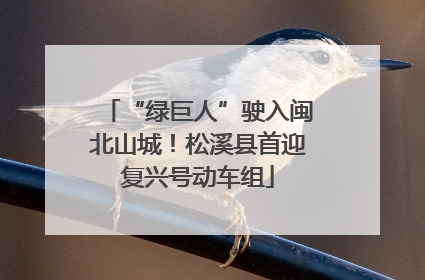 “绿巨人”驶入闽北山城！松溪县首迎复兴号动车组