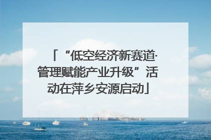 “低空经济新赛道·管理赋能产业升级”活动在萍乡安源启动