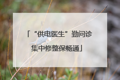 “供电医生”勤问诊 集中修整保畅通