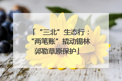 “三北”生态行：“两笔账”撬动锡林郭勒草原保护