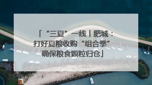 “三夏”一线丨肥城：打好夏粮收购“组合拳” 确保粮食颗粒归仓