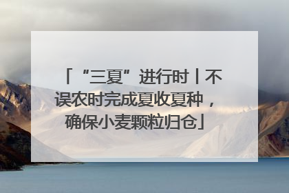 “三夏”进行时丨不误农时完成夏收夏种，确保小麦颗粒归仓