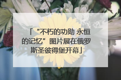 “不朽的功勋 永恒的记忆”图片展在俄罗斯圣彼得堡开幕