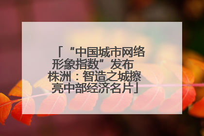 “中国城市网络形象指数”发布 株洲：智造之城擦亮中部经济名片