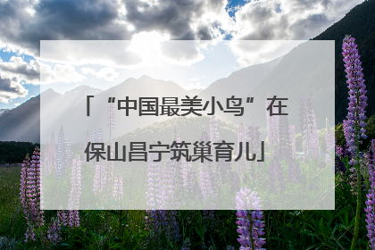 “中国最美小鸟”在保山昌宁筑巢育儿