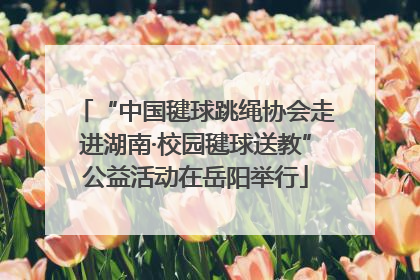 “中国毽球跳绳协会走进湖南·校园毽球送教”公益活动在岳阳举行