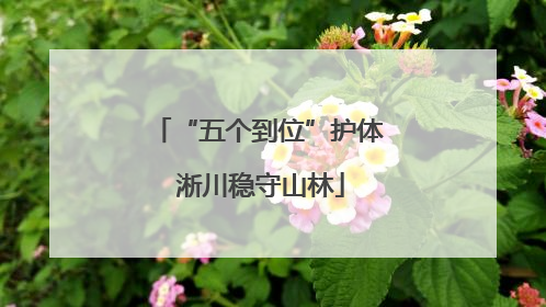 “五个到位”护体 淅川稳守山林