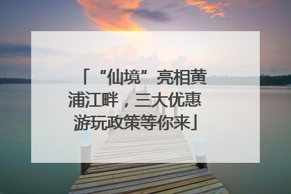 “仙境”亮相黄浦江畔，三大优惠游玩政策等你来