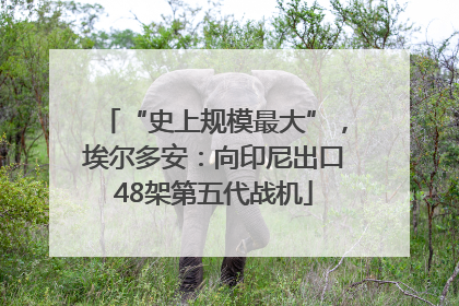“史上规模最大”，埃尔多安：向印尼出口48架第五代战机
