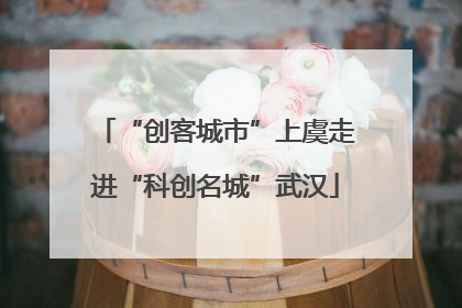 “创客城市”上虞走进“科创名城”武汉
