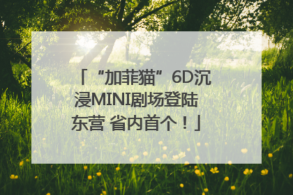 “加菲猫”6D沉浸MINI剧场登陆东营 省内首个！