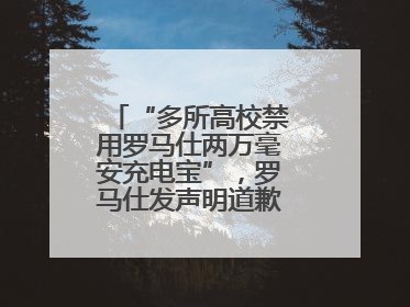“多所高校禁用罗马仕两万毫安充电宝”，罗马仕发声明道歉：已展开核查