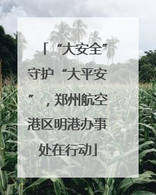 “大安全”守护“大平安”，郑州航空港区明港办事处在行动