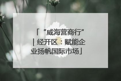 “威海营商行”｜经开区：赋能企业扬帆国际市场