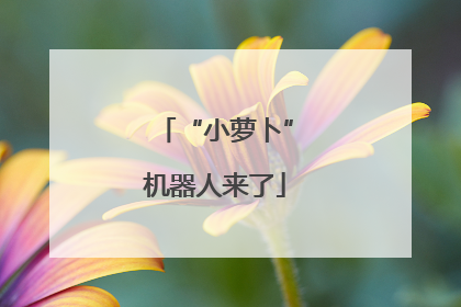 “小萝卜”机器人来了