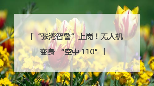 “张湾智警”上岗！无人机变身 “空中 110”