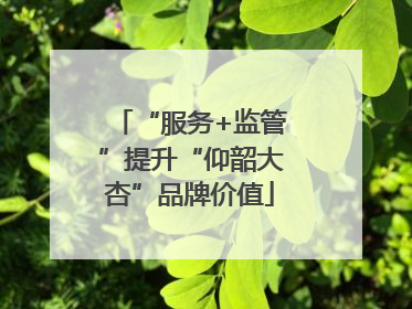 “服务+监管”提升“仰韶大杏”品牌价值