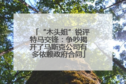 “木头姐”锐评特马交锋：争吵揭开了马斯克公司有多依赖政府合同