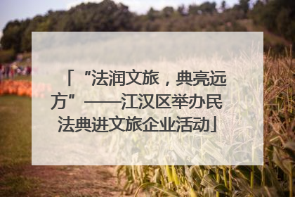 “法润文旅，典亮远方”——江汉区举办民法典进文旅企业活动