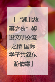 “湖北故事之夜”架设文明交流之桥 国际学子共叙东游情缘