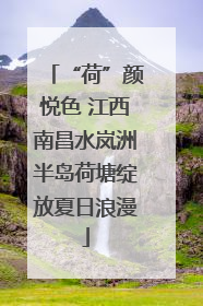 “荷”颜悦色 江西南昌水岚洲半岛荷塘绽放夏日浪漫