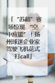 “苏超”赛场惊现 “空中应援”！扬州球迷企业家驾驶飞机花式打call