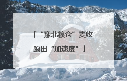 “豫北粮仓”麦收跑出“加速度”