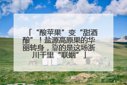 “酸苹果”变“甜酒酿”！盐源高原果的华丽转身，靠的是这场浙川千里“联姻”