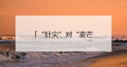 “针尖”对“麦芒”，176袋竹签棘手难题如何解？
