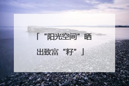 “阳光空间”晒出致富“籽”