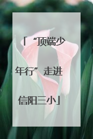 “顶端少年行”走进信阳三小