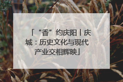 “香”约庆阳丨庆城：历史文化与现代产业交相辉映