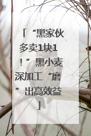 “黑家伙多卖1块1！”黑小麦深加工“磨”出高效益
