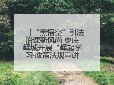 “黑悟空”引法治课新风尚 枣庄峄城开展“峄起学习·政策法规宣讲面对面”活动